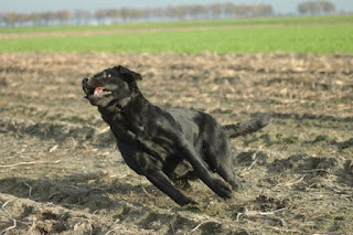 Foto bij Gewoon Bijzonder
