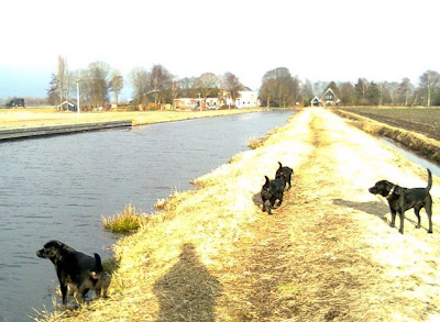 Foto bij Eindelijk ijsvrij!