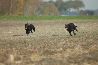 Foto bij Gewoon Bijzonder