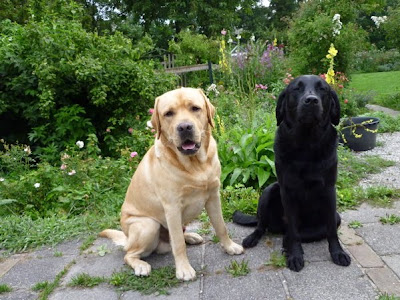 Foto bij JanetSailor-blend 2 jaar!