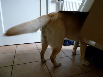 Foto bij Pakketje