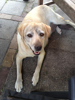 Foto bij Staying Cool @Wishstone