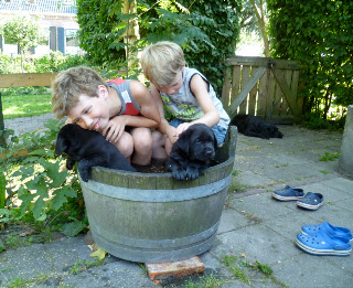 Foto bij Allemaal de liefste!