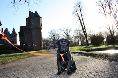Foto bij Ingeburgerd en geïntegreerd
