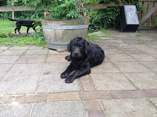 Foto bij Staying Cool @Wishstone