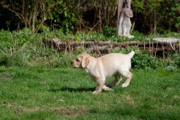 Foto bij Out on the weekend