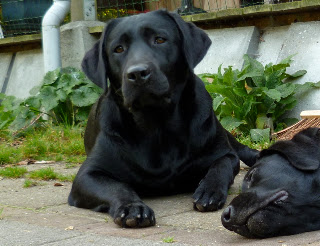 Foto bij Wij zijn al TWEE!!!!