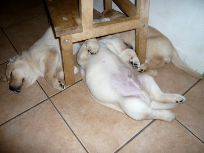 Foto bij ff Chillen...