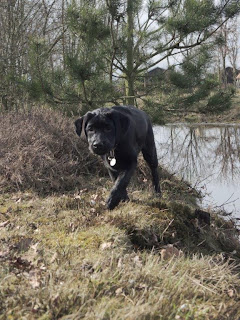 Foto bij 1 op 11/11!