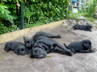 Foto bij (P)update...