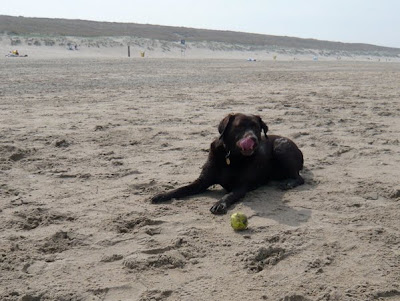 Foto bij Noordwijk aan ZEEEEEEEEEEEEEEEEEEEEEEEEEE!