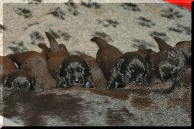 Foto bij Bibi's Babes