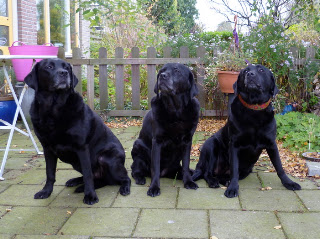 Foto bij Rosie Nosy