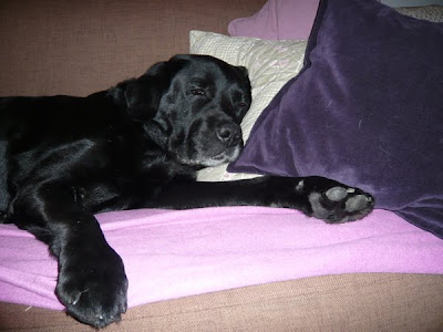 Foto bij Ollie's jubileum!