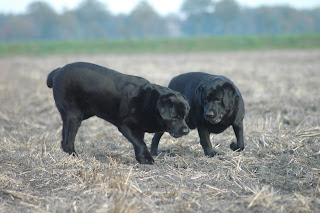 Foto bij Gewoon Bijzonder
