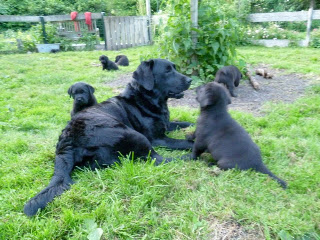 Foto bij The Nanny