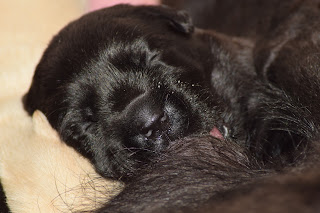 Foto bij Kleine Keetjes