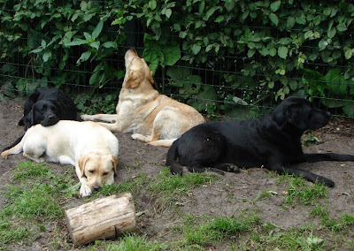 Foto bij Quality time met Family&Friends