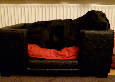 Foto bij Couch Patatoes