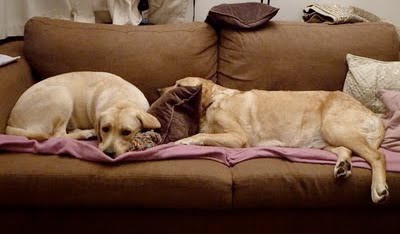 Foto bij Relaxzzzz...