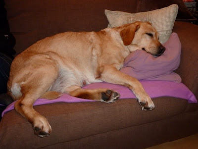 Foto bij Relaxzzzz...