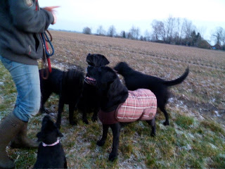 Foto bij Winter Vertellingen