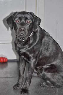 Foto bij 1 op 11/11!