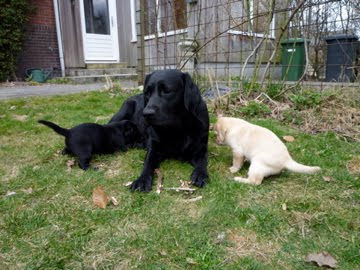 Foto bij In het zonnetje