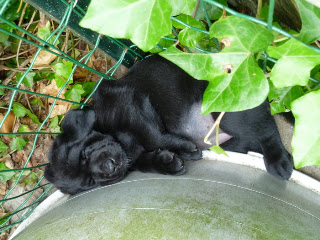 Foto bij (P)update...