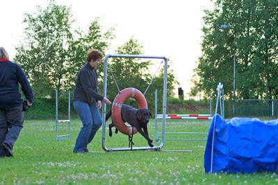 Foto bij Over Winnen