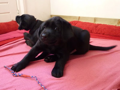 Foto bij Boxing Day