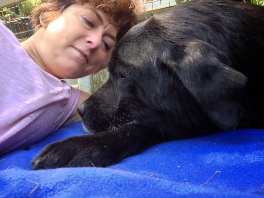 Foto bij Ollie 27 november 2000 - 30 mei 2014