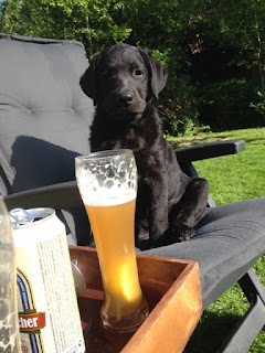 Foto bij Het zwarte schaap