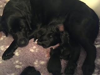 Foto bij Sophie pakt uit!