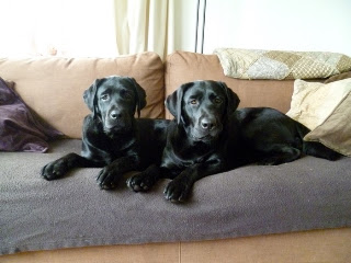 Foto bij Wij zijn al TWEE!!!!