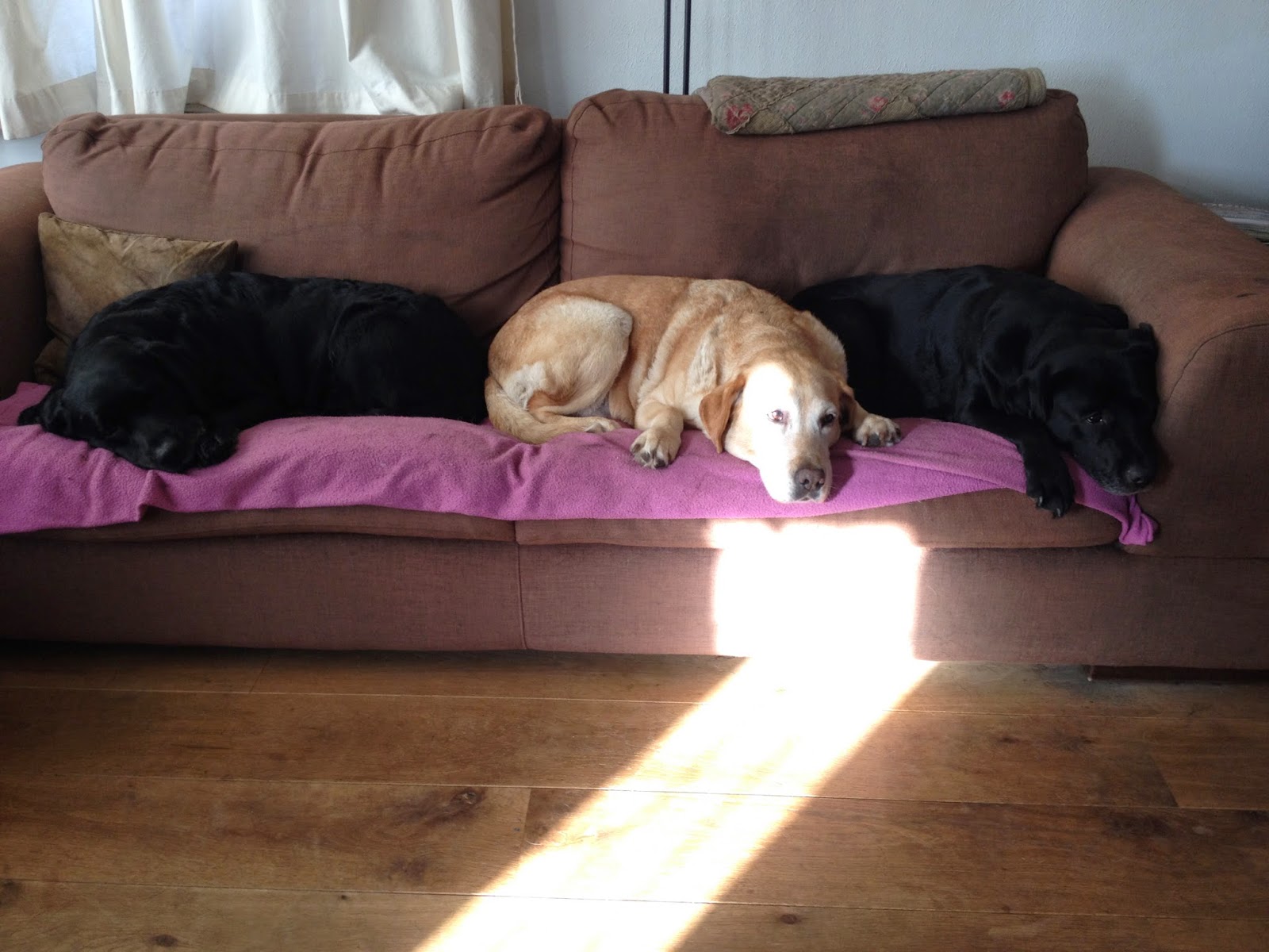 Foto bij Cosy Couching