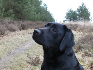 Foto bij Rosie Nosy