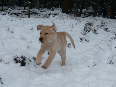 Foto bij Outdoor Winter Games