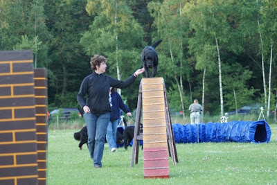 Foto bij Over Winnen
