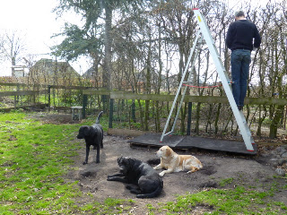 Foto bij Tuinieren
