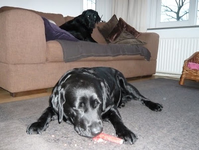 Foto bij De Paasmand