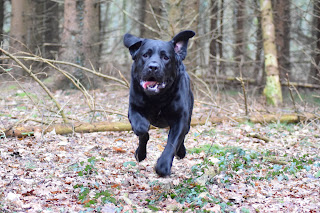 Foto bij Kleine Keetjes