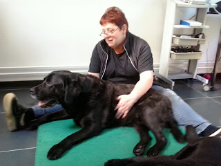 Foto bij Ollie 13 jaar!
