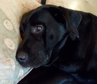 Foto bij Rosie Nosy