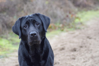 Foto bij Sophie pakt uit!