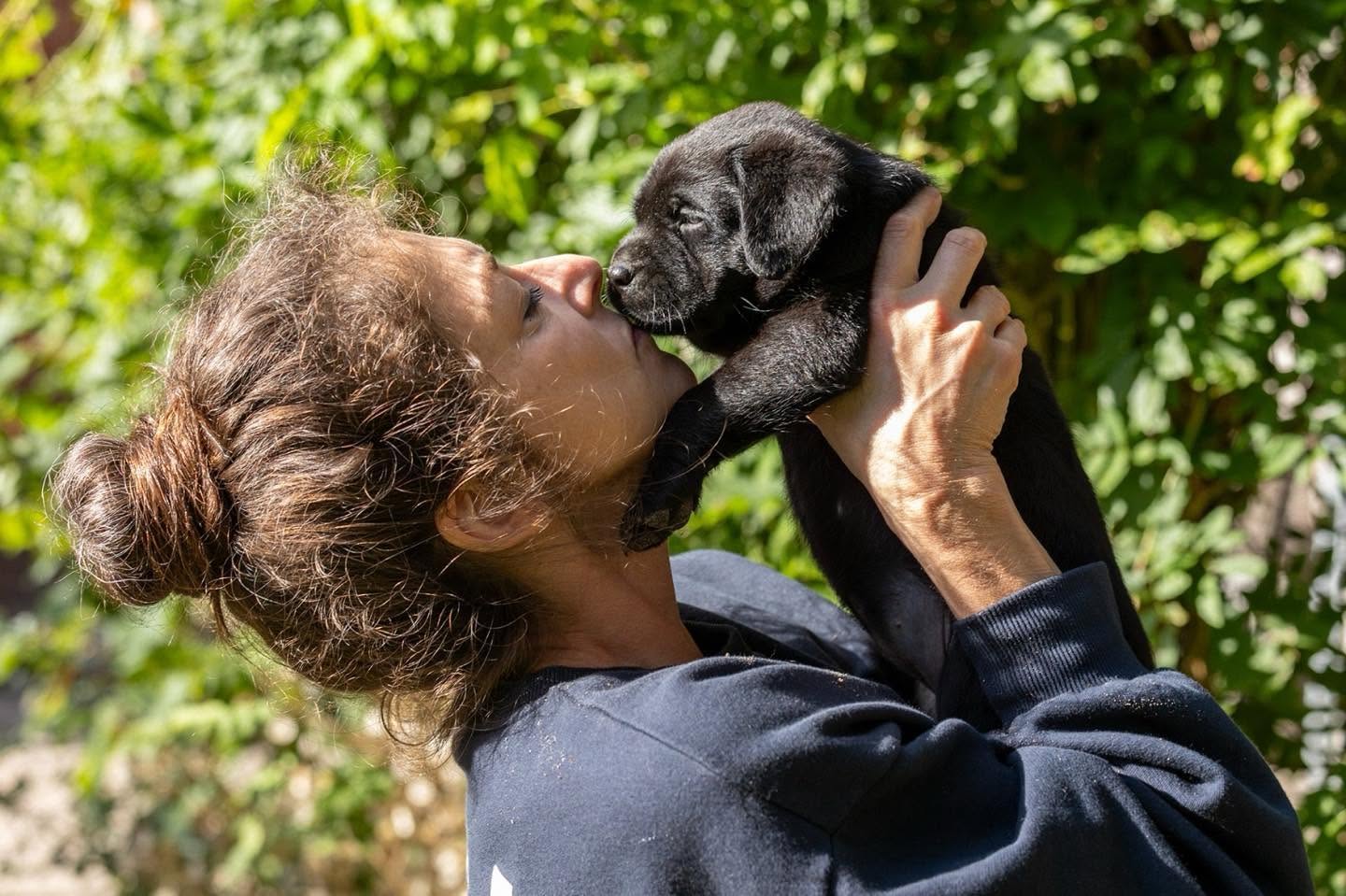 Een zwarte Labradorpup krijgt een kus, buiten tussen het groen